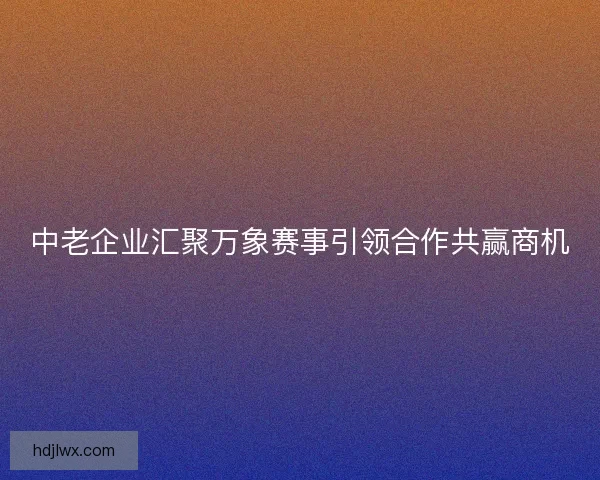 中老企业汇聚万象赛事引领合作共赢商机