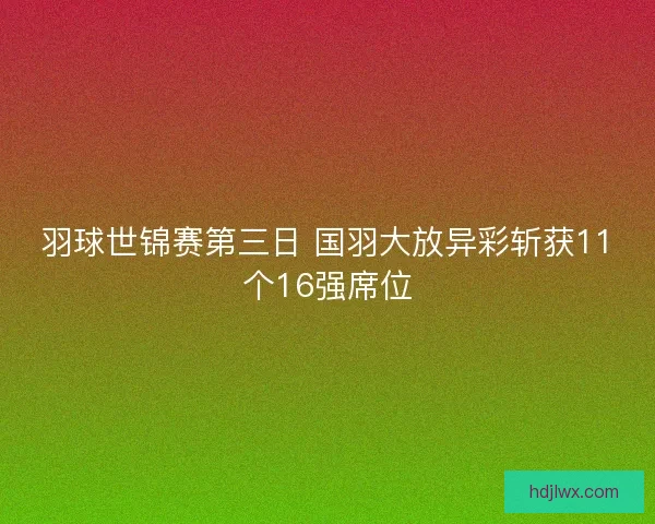 羽球世锦赛第三日 国羽大放异彩斩获11个16强席位 羽球世锦赛第三日 国羽大放异彩斩获11个16强席位